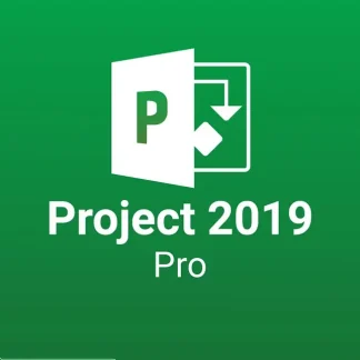 Microsoft Project pro 2019 1 user bind Genuine License