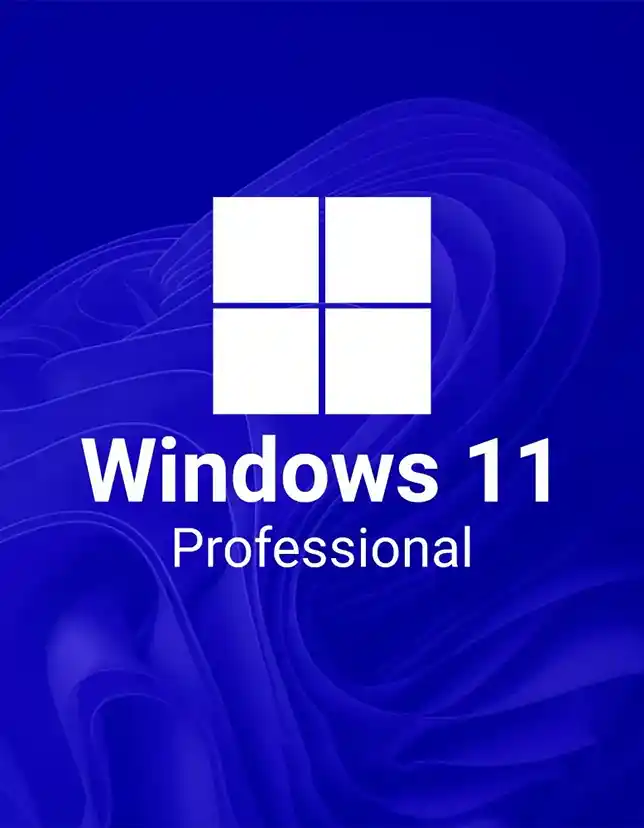 Microsoft Windows 11 Professional