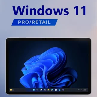Microsoft Windows 11 Professional