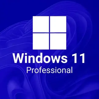 Microsoft Windows 11 Professional